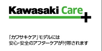 Kawasaki W800CAFE