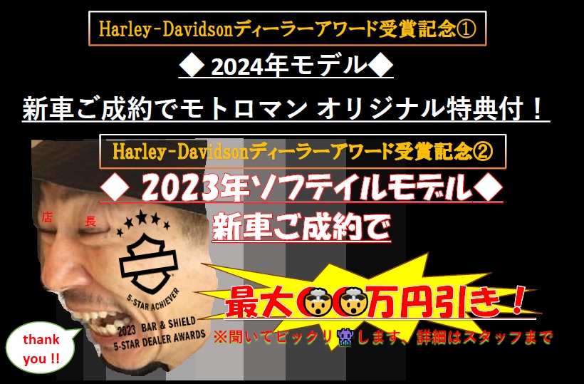 HARLEY DAVIDSON ﾌﾞﾚｲｸｱｳﾄ117　2024モデル